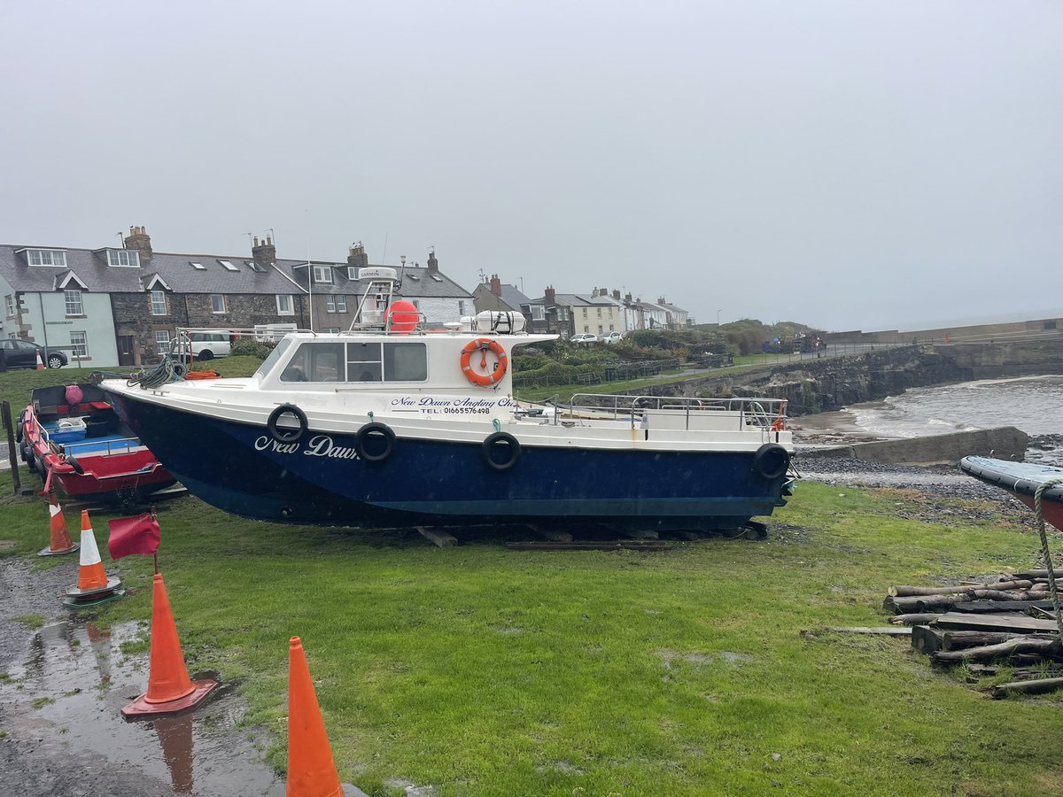 The Pieman tweet media