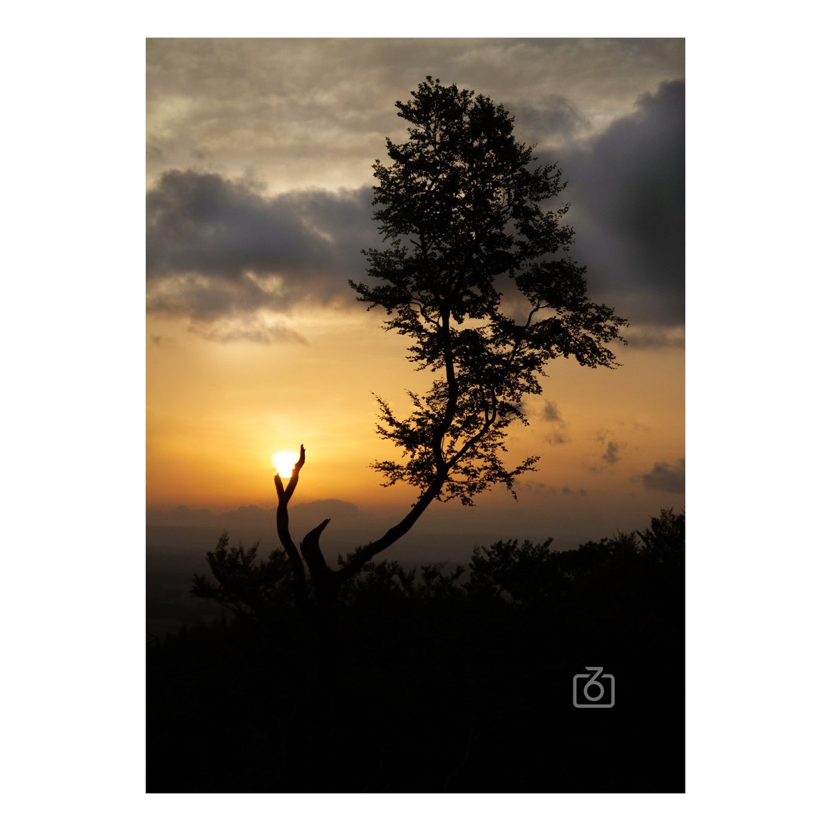 Out on a limb.
.

#mattphillipsphotography
#wales #photography #photooftheday #instagram #photo #picoftheday #photographer #art #photoshoot #dawn #sunrise #lovemonmouthshire #lovewales @visitmonmouthshire @visitwales 🧡