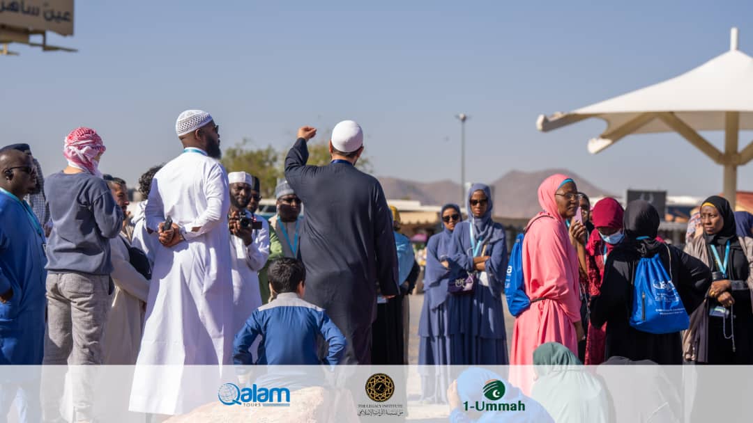 Qalam Tours tweet media