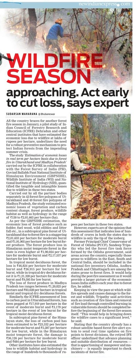 XpressOdisha's tweet photo. A study that estimates economic loss due to #forestfire at lakhs of rupees per hectare, underlines the need for a robust preventive mechanism to protect Indian forests from the impending crisis | @Sud_TNIE's report in #XploreEnvironment
@NewIndianXpress
https://t.co/6gugUBb8mB https://t.co/cqy6nuSGYF