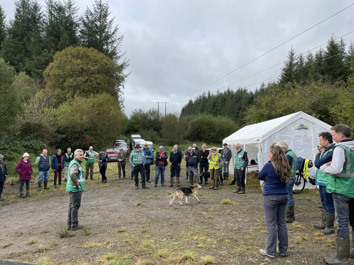 Pro Silva Ireland tweet media