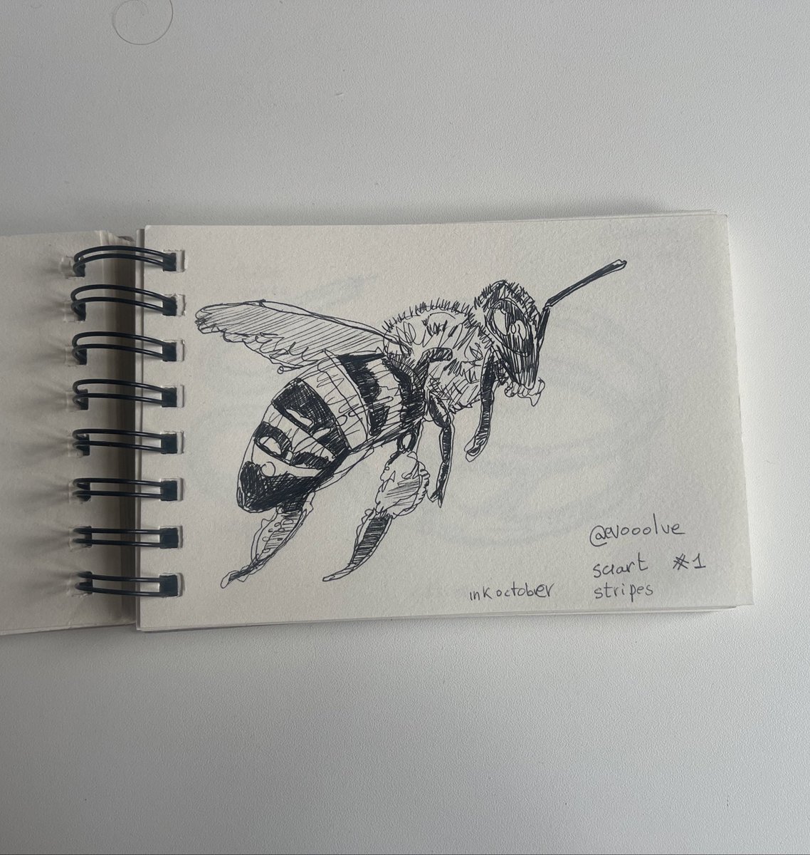 evooolvescience's tweet photo. #inkoctober #sciart is here for day one Stripes thanks to @GNSIorg 

Stripes are the always very useful bees https://t.co/T4omxjNd8S