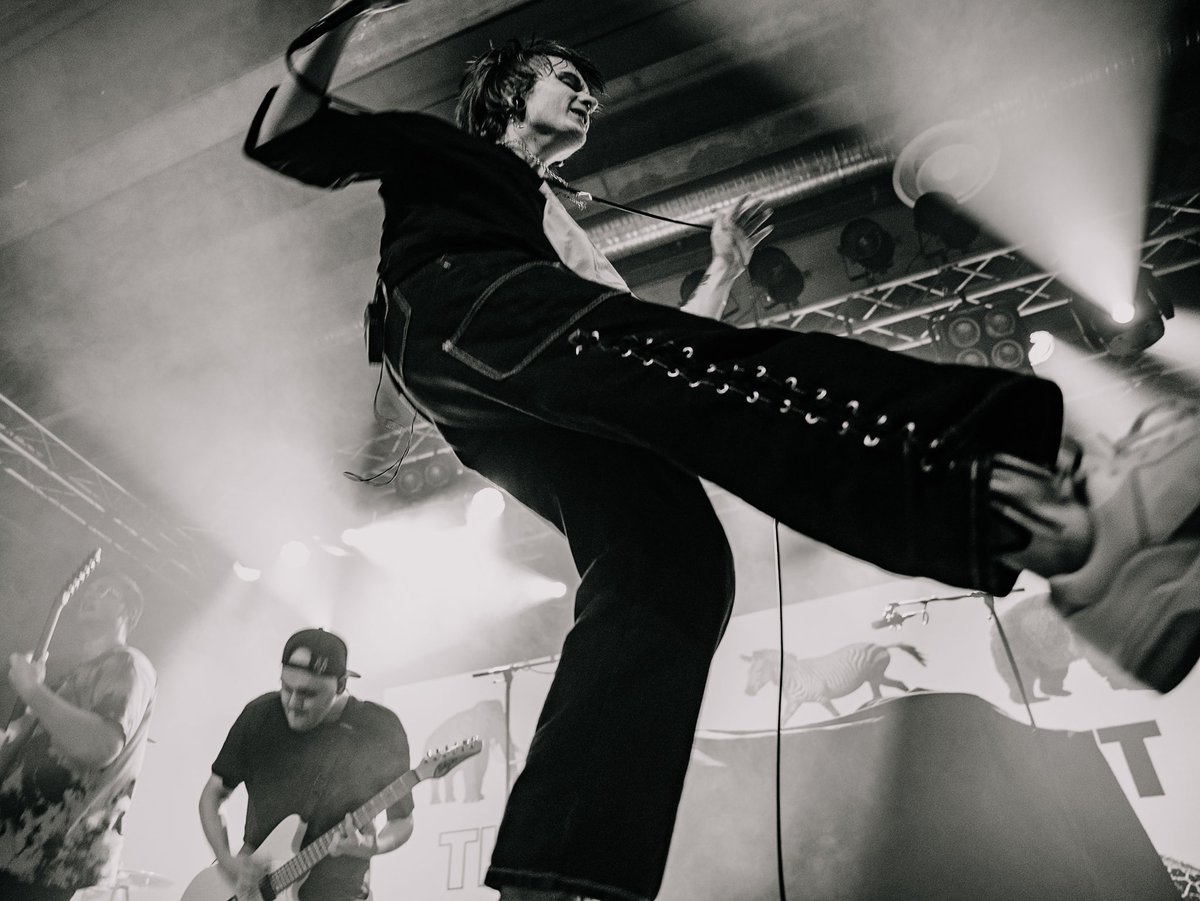 those without tweet media