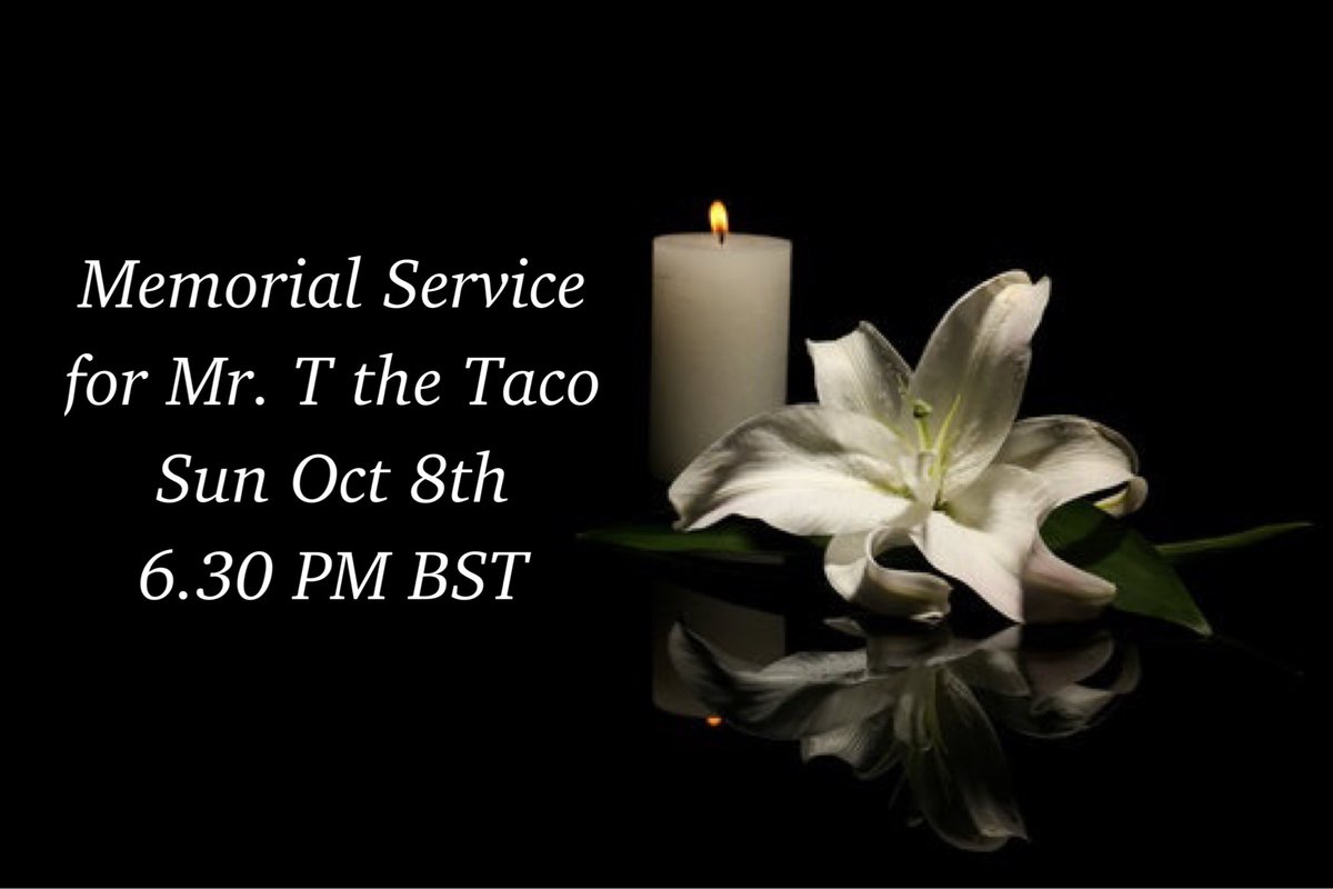 Mr. T the Taco tweet media