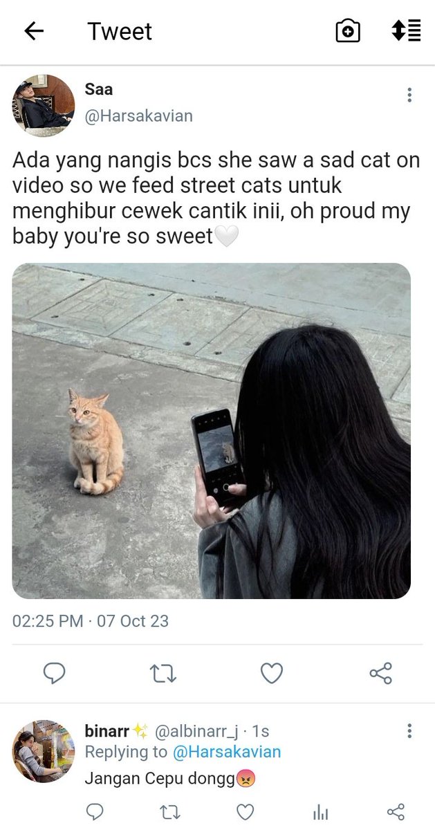 ☞Gara-gara kucing #HarsaBinar

—Marklee six tweet au
©shenandikaa