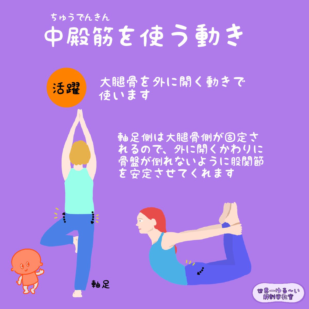 anatomylabo's tweet photo. 今回は、どんな動きの時に中殿筋が使われているかを見てみましょう！

中殿筋の作用は、股関節を外に開いたり、片足立ちの時に軸足側の股関節を安定させたりしてくれる役割でした

説明文章付き
https://t.co/EVzECkDwhj.
【11-12月 リアル解剖学講座　スケジュール・申込】
https://t.co/SkgFCJQ9Sq https://t.co/jzInNBizUx