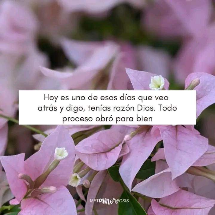 Agradecida no sólo hoy... 💙✨🙏