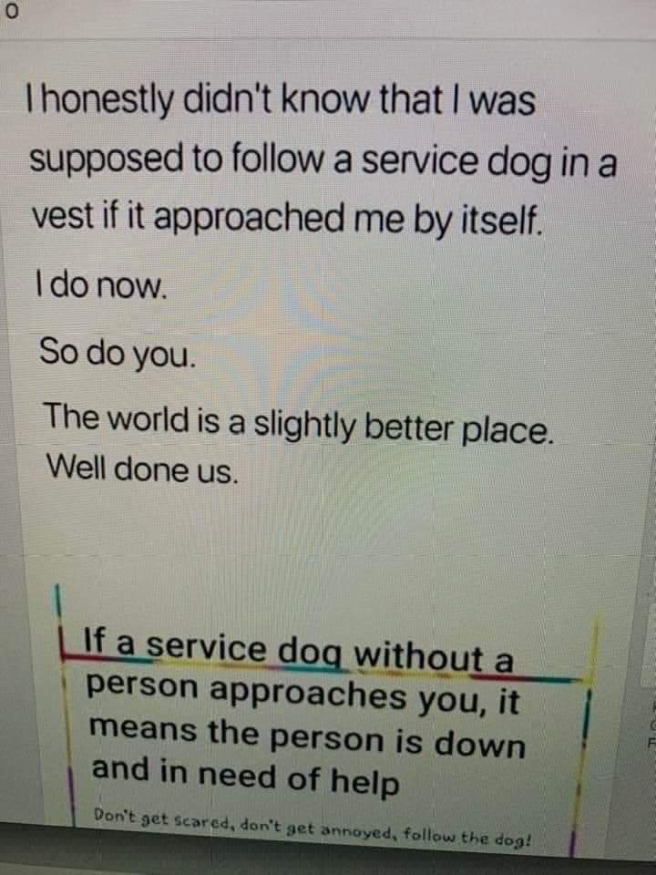 Winter's Song tweet media