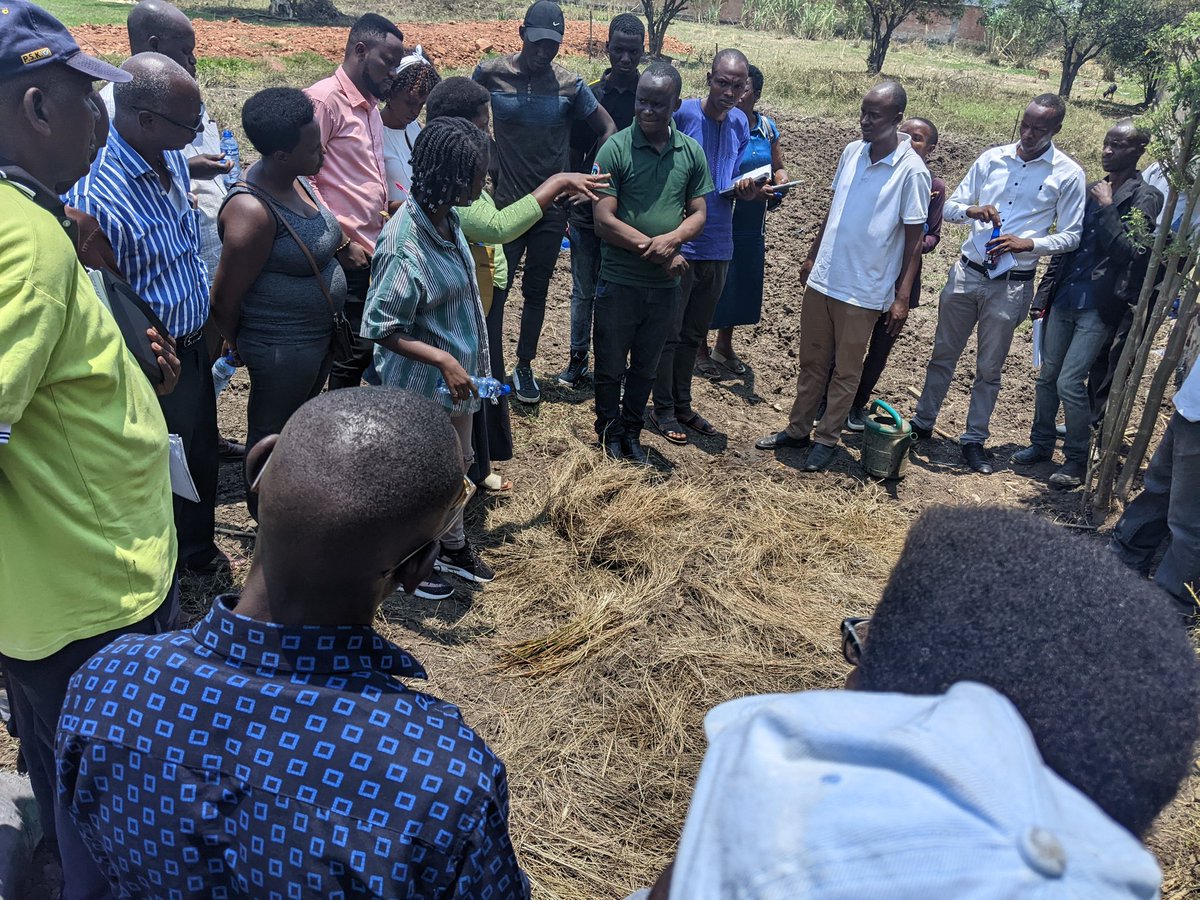 BestSoluti2's tweet photo. The session also included trainings on ecologic farming as well, which was conducted by young talented from Farmer's Pride Burundi who impressed our audience by their deep understanding of the #biofarming technics ... Shout out to all participants who attended !! https://t.co/owzqcc5R0m