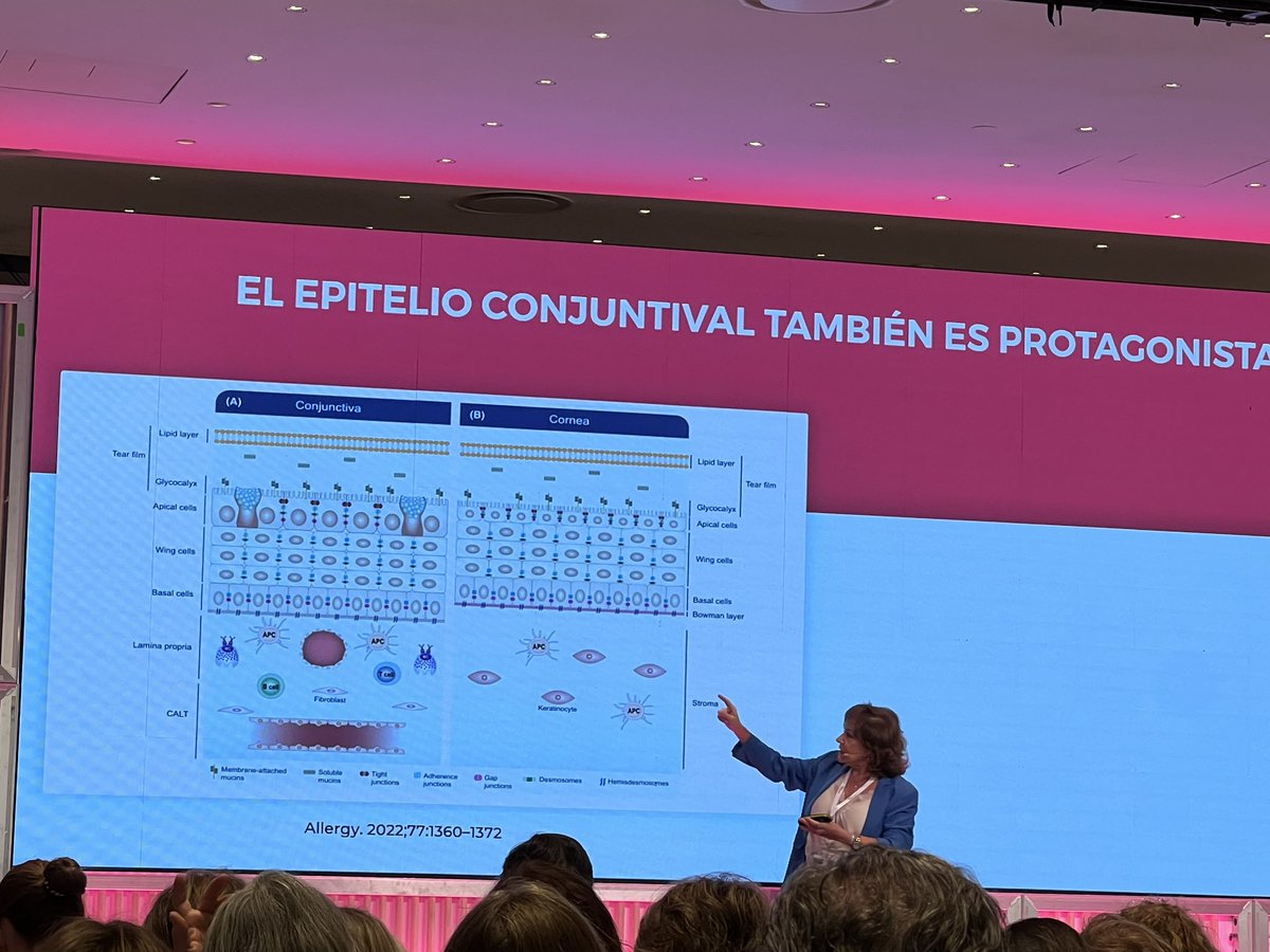 La Dra Cesárea Sánchez da protagonismo al epitelio conjuntival! 
El protagonismo que se merece!! #MPL23