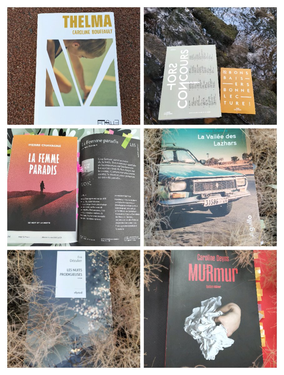 Evelyne Leraut (@evelyneleraut) on Twitter photo Le <a href="/PrixHC/">Hors Concours</a>
Finalistes 🌟
La femme paradis
Pierre Chavagné
<a href="/LeMotetleReste/">Le Mot et le Reste</a>
🌟
Les nuits prodigieuses
<a href="/Evadezzz/">Eva Dézulier Ikhlef</a>
<a href="/edelyzad/">éditions elyzad</a>
🌟
MURmur
@CarolineDeyns
@quidamediteur
🌟
Thelma
Caroline Bouffault
@EditionsFugue
🌟
La Vallée des Lazhars
soufiane khaloua
<a href="/Agullo_Ed/">Agullo_Ed</a>
🌟 Le <a href="/PrixHC/">Hors Concours</a>
Finalistes 🌟
La femme paradis
Pierre Chavagné
<a href="/LeMotetleReste/">Le Mot et le Reste</a>
🌟
Les nuits prodigieuses
<a href="/Evadezzz/">Eva Dézulier Ikhlef</a>
<a href="/edelyzad/">éditions elyzad</a>
🌟
MURmur
@CarolineDeyns
@quidamediteur
🌟
Thelma
Caroline Bouffault
@EditionsFugue
🌟
La Vallée des Lazhars
soufiane khaloua
<a href="/Agullo_Ed/">Agullo_Ed</a>
🌟