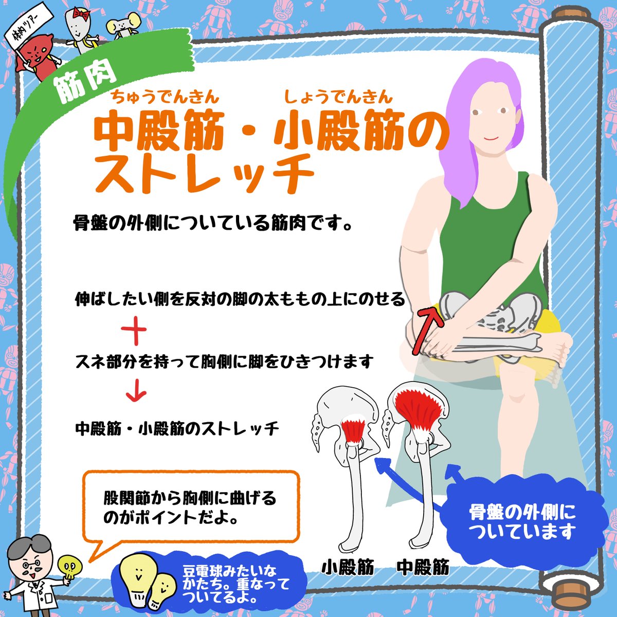 anatomylabo's tweet photo. 【中殿筋のストレッチ】

これまで、中殿筋を学んできたので、次はそれを実践で使って知識を活かせるようにしましょう。

中殿筋のストレッチ　文章付き
https://t.co/piQhCw8GrP

リアル解剖学講座スケジュール・申込
https://t.co/SkgFCJQ9Sq https://t.co/DeMVXPdskJ