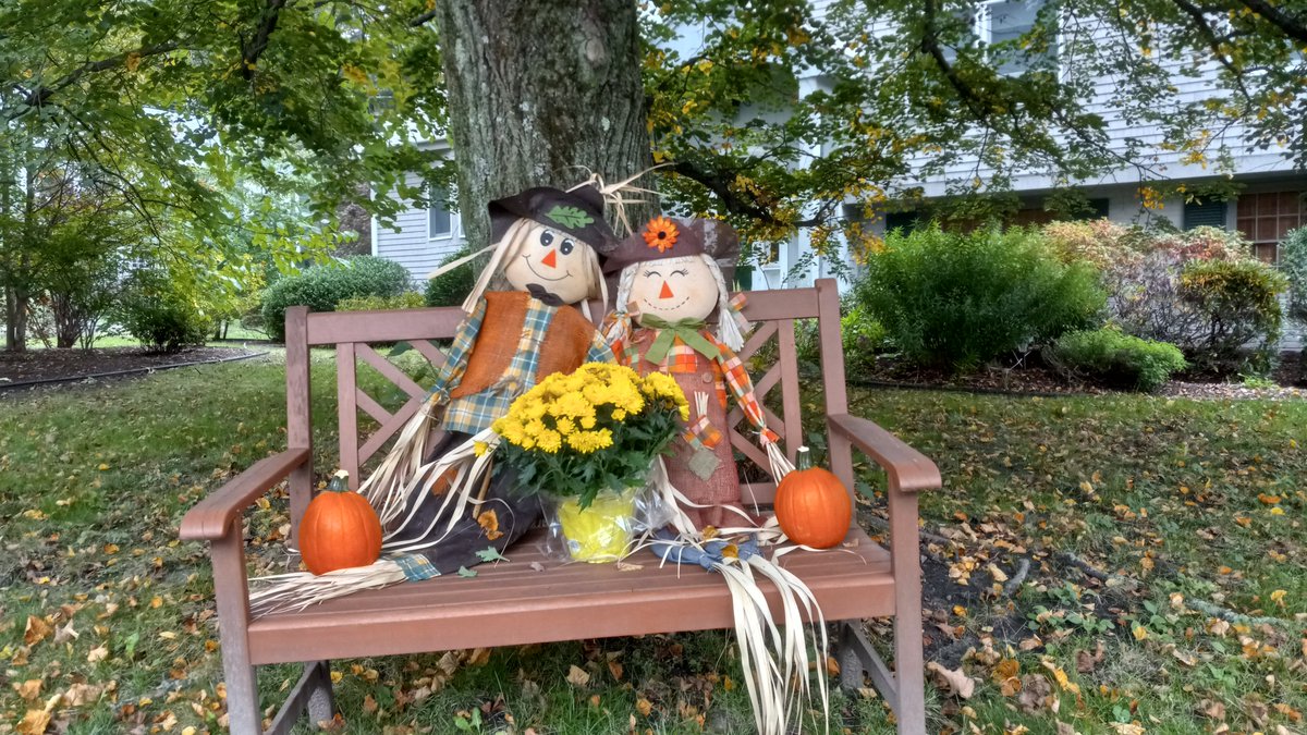 Bíkok Kámuncheh /Thanksgiving sī 11 goe̍h ê tē sì lépài sì （11 goe̍h 23）, ū lâng kipsèng chitmá to̍h khaisí chngthāⁿ....