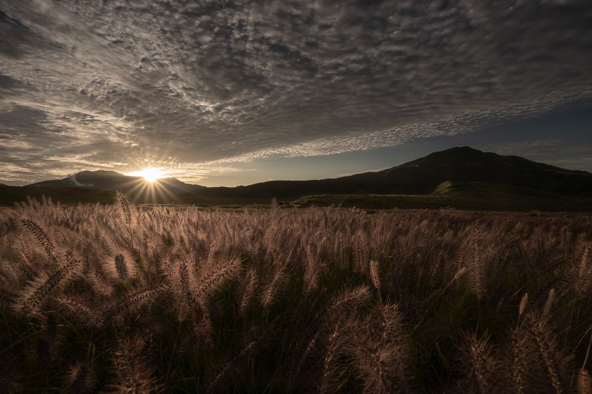 もじゃ⸜(ˊᵕˋ)⸝