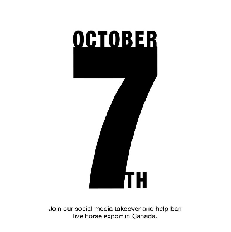 defendhorsescan's tweet photo. October 7
It's #Horseshit day and people in #Kingston have been busy making their plans ! 👏
📢 Confederation Basin
Saturday, Oct. 7 from 11:30-1:00pm
Check their fb event page: https://t.co/NtBtg8JN8B
@jannarden @JustinTrudeau @TimLouisKitCon @L_MacAulay
#SayNeigh https://t.co/TpshemWWez