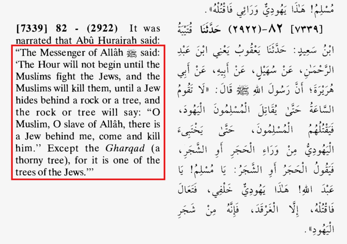 Acts17David's tweet photo. Why did Hamas attack Israel? Because Muhammad ordered his followers to attack Jews. Sahih Muslim: https://t.co/yQQGmqzunv
