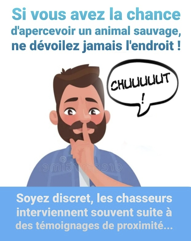 ChasseAbolition's tweet photo. https://t.co/GxAYMLQ66Y