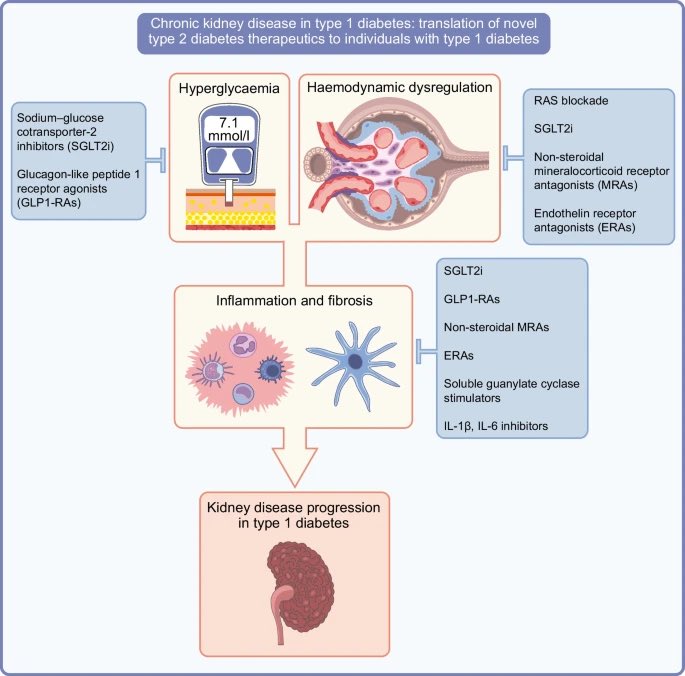 The potential translation of novel type 2 diabetes therapeutics to individuals with type 1 #diabetes How to develop rigorous evidence? #CKD @DiabetologiaJnl link.springer.com/article/10.100…