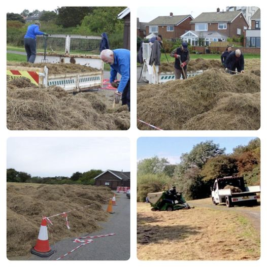 George C. Westwater tweet media