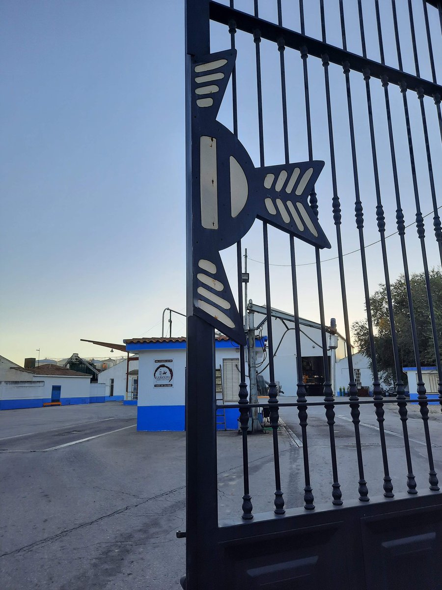 Fin a la vendimia 2023.
<a href="/vinodelamancha/">Vino DO La Mancha</a> <a href="/bodegassanjose/">Bodegas San José</a> <a href="/jadiazflores79/">Jose Diaz</a>