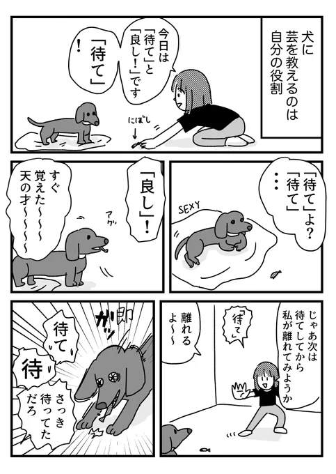 理解してるのに受け入れてくれない犬の話    ブログ更新しました!  見えない所で待っててね できない
