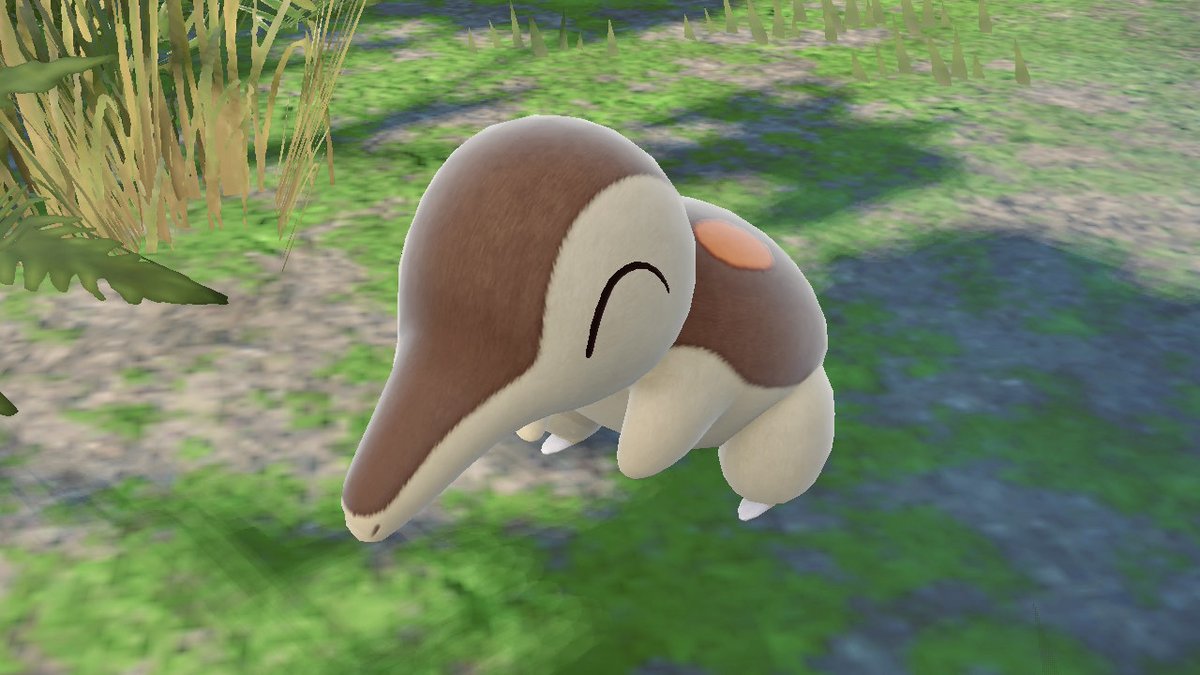 Cyndaquilism tweet media