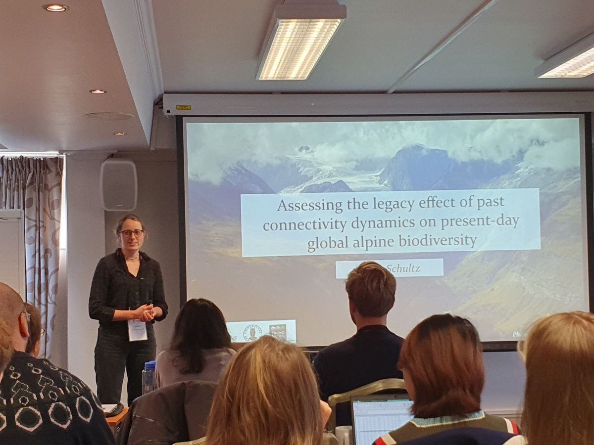 Lotta Schultz tweet media