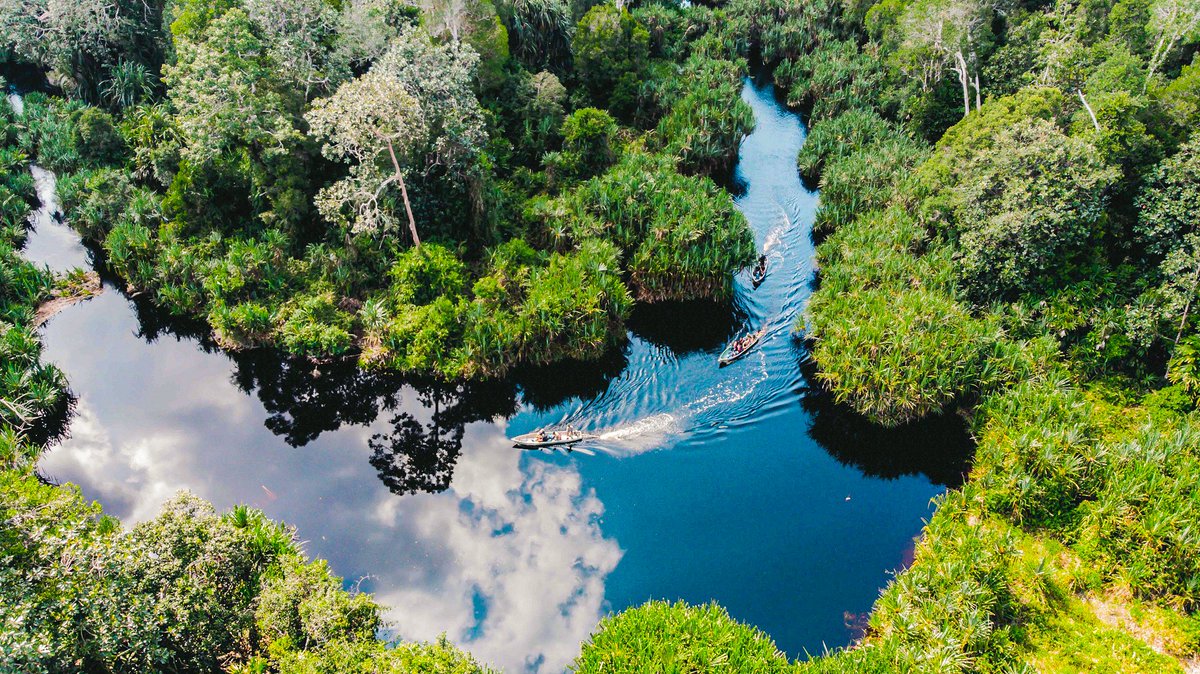 HAPPY WEEKEND
Most of the RER area is covered in swamps but we also have several lakes that are a haven for wildlife. Click rekoforest.org to find out more about this isolated spot!
.
#exploreRER #wildlife #restorasi #konservasi #fornature #generationrestoration