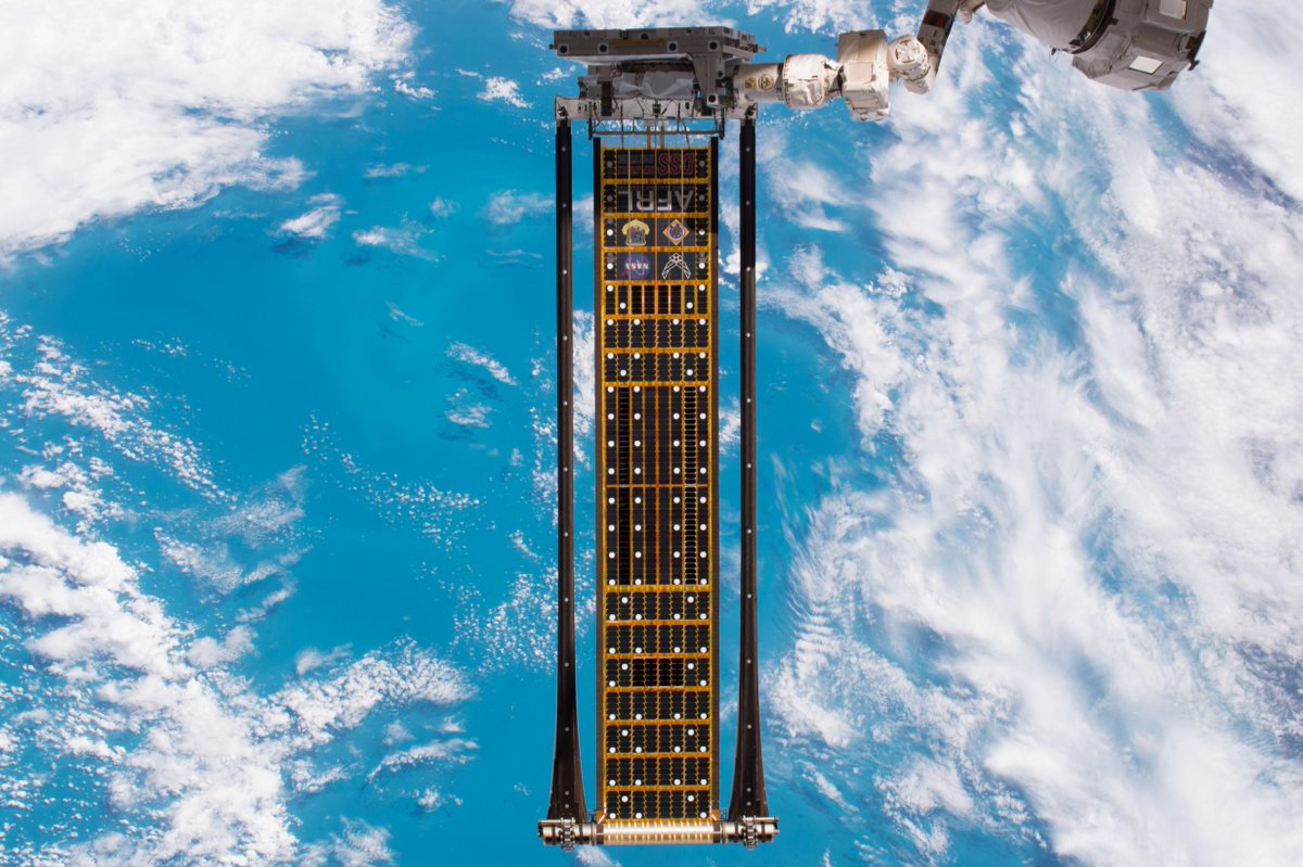 AFResearchLab's tweet photo. It's almost that time of year,
For a classic ROSA to appear.

But for now, as we wait for the holidays,
Learn more about the ROSA - Roll-Out Solar Arrays: https://t.co/RxLgIKwUWC

#AFResearchLab | #SpaceSaturadays | #AFRLSpace https://t.co/vwksxXYgy4