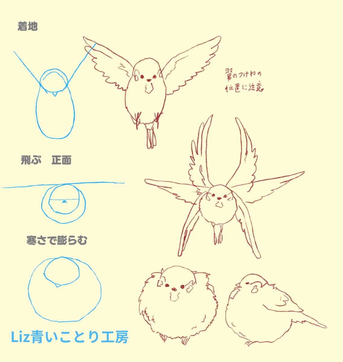 ある程度スズメの形を理解して、正面と真横を描きなれてきたら、小鳥らしいポーズにも挑戦してみよう❤︎
アタリの入れ方にある程度セオリーがあるので、ポイントさえ押さえれば、かなりそれっぽくなるはず🥰
上を向くのは頭を球と考えて上に回すように下顎ラインなど描くとらしくなります。