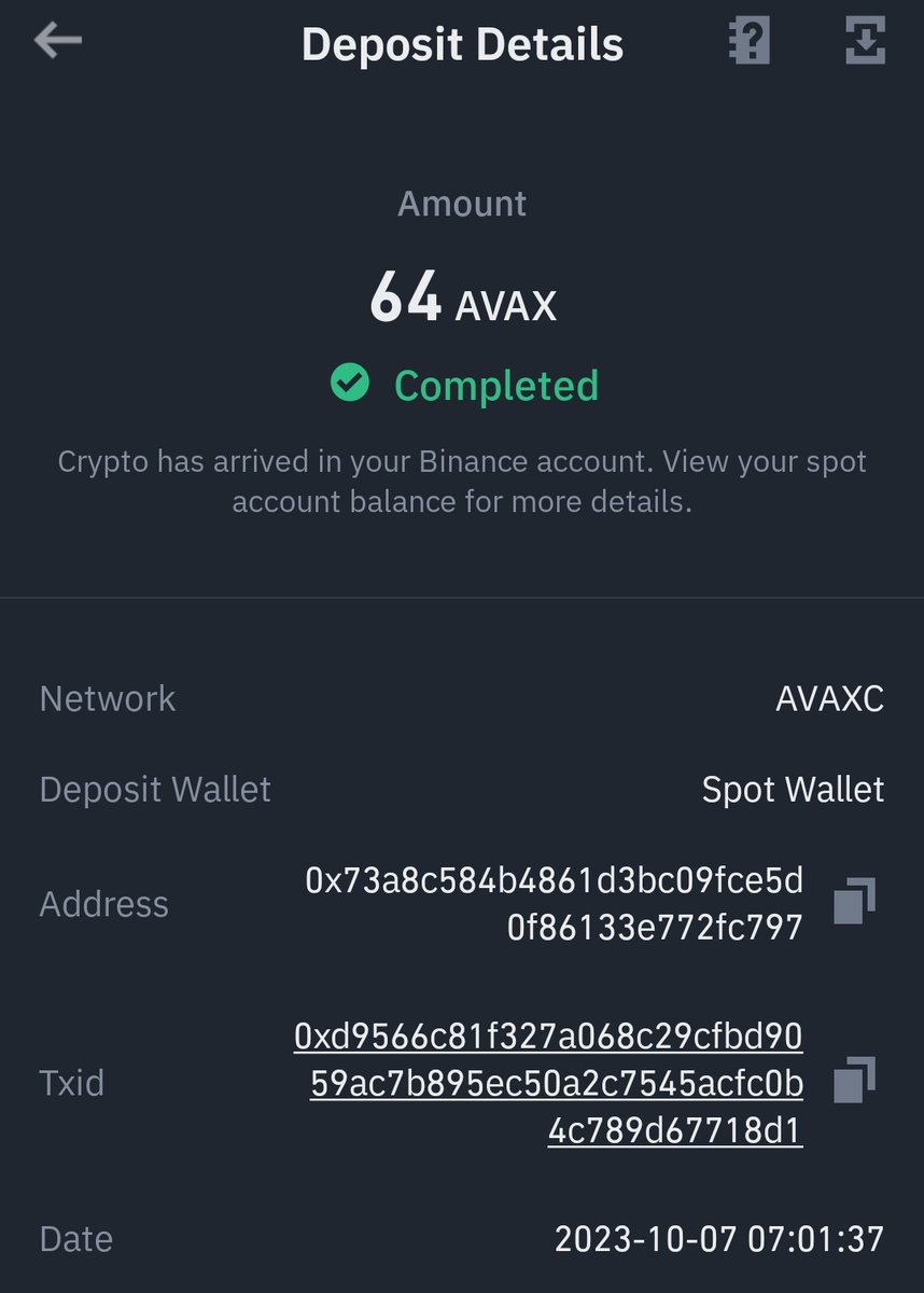 VORTE𝕏 tweet media