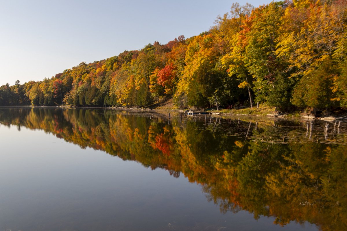Ponder41's tweet photo. @RachelSchoutsen some fall colours in South Eastern Ontario. Happy Thanksgiving’s https://t.co/mz53SSI4h0