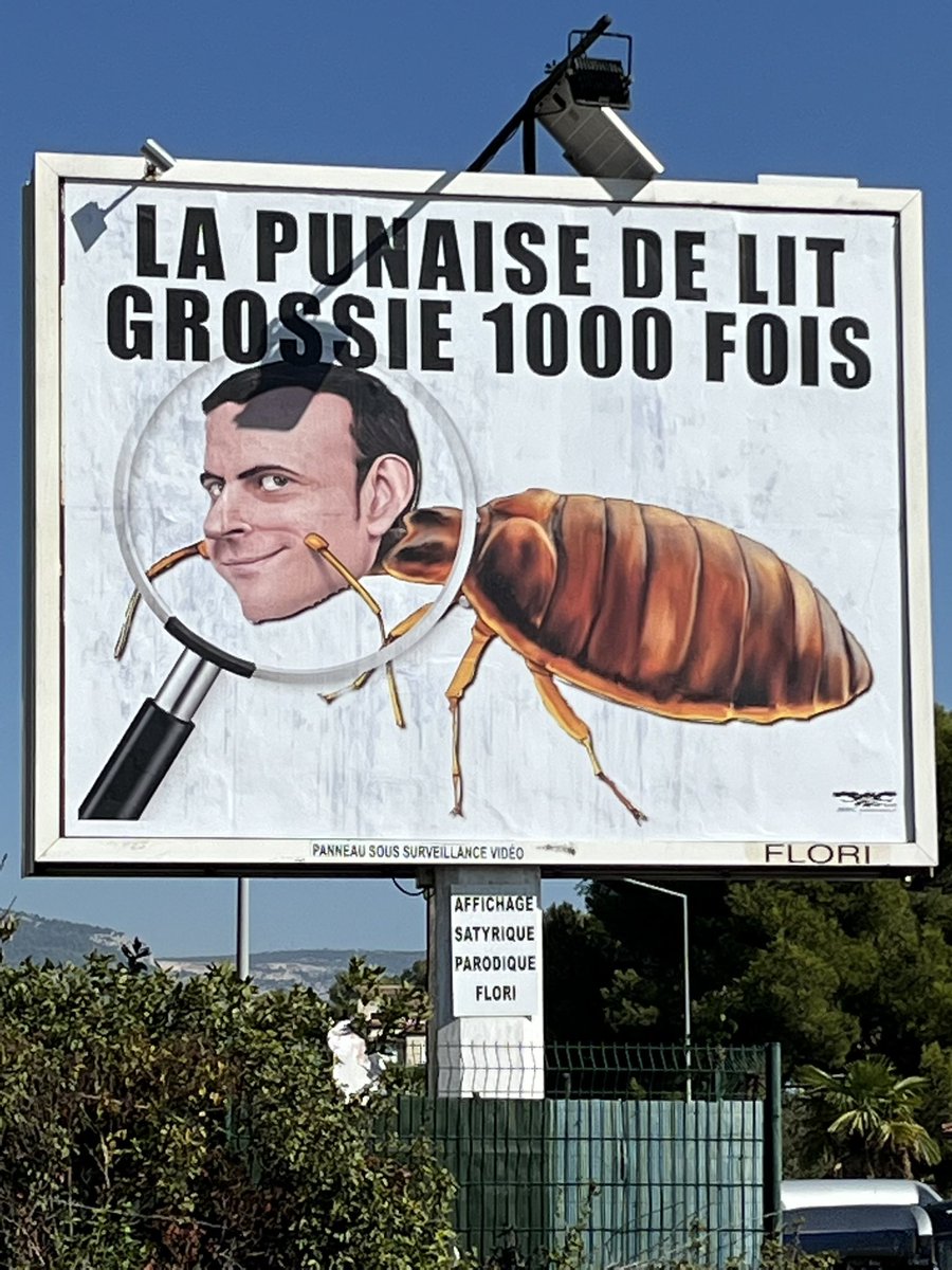 " La punaise de lit grossie 1000 fois " 
Représente une punaise de lit avec une loupe au niveau de la tête qui fait apparaître celle de Macron 