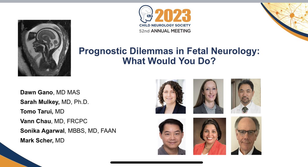 Dr. Sonika Agarwal, MBBS, MD, FAAN, FCNS tweet media