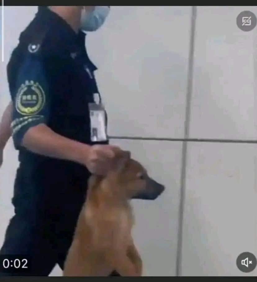 اهم حاجة الكاريزما و النضارة الشمس