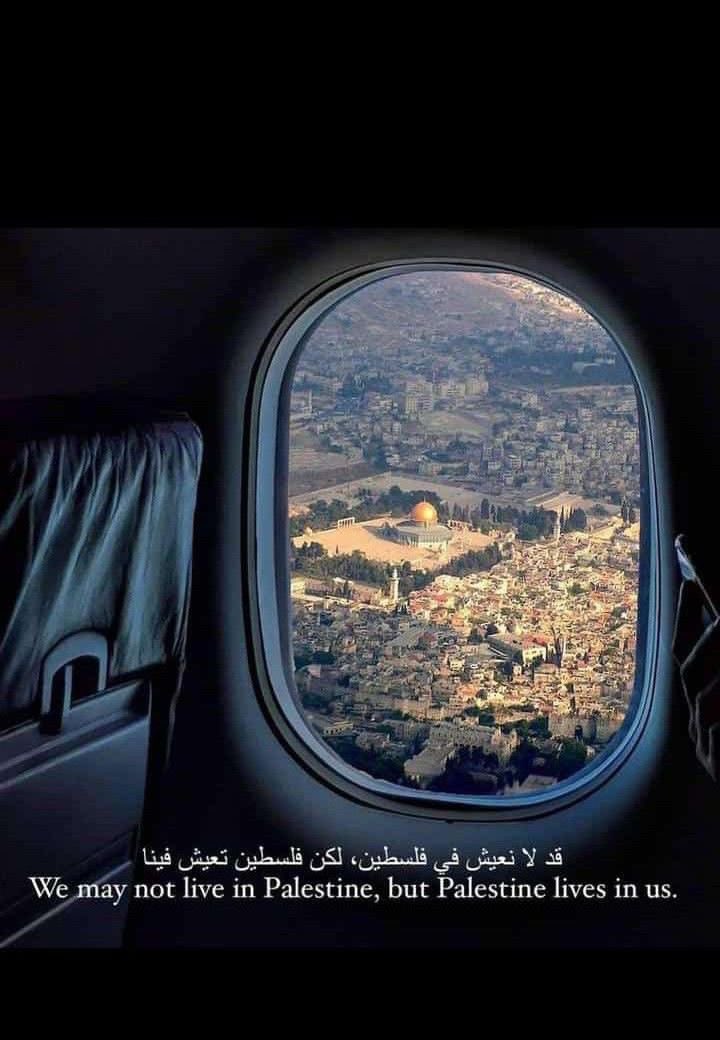 Dew96Dew's tweet photo. #طوفان_الاقصي  مع العرين حتى النصر والتحرير ✌️ https://t.co/K4pFpw6MPA