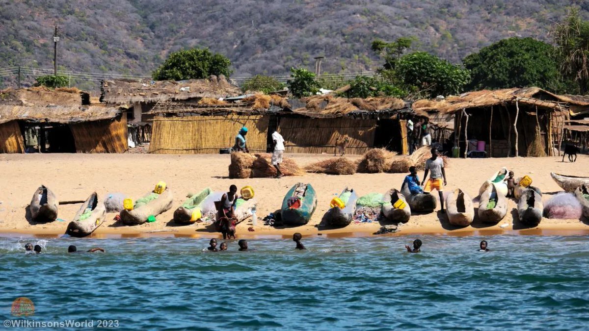 🌊 Discover the vibrant life of Lake Malawi, an African gem supporting 3 countries! Join us on an adventurous journey with the fishermen of Malawi as they preserve traditions & ecosystems. #LakeMalawi #AfricanAdventure #WildlifeConservation