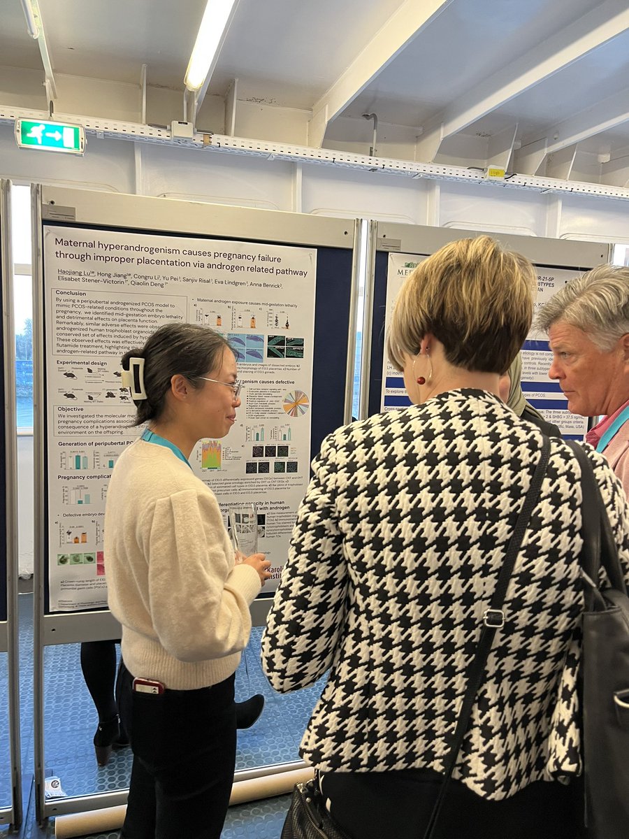 ElisabetStener's tweet photo. Vibrant poster session at #AEPCOS2023 and the #REMgroup at @karolinskainst presents our exciting research 🧐 @GorsekTinc @haojianglu https://t.co/4Mlm6mfl3T