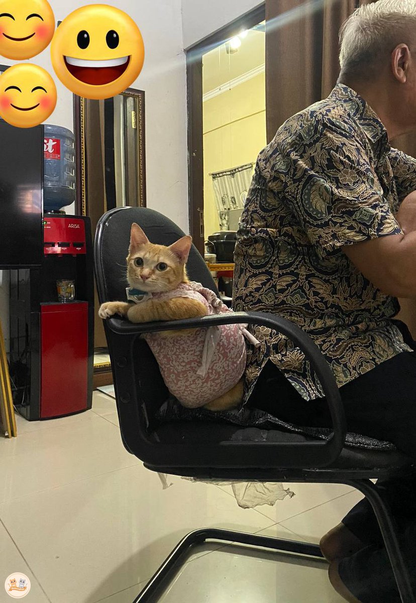 kochengfs's tweet photo. Kcg! Bapak ku dan si anak bungsu 🐱 https://t.co/GKN85JwC1B