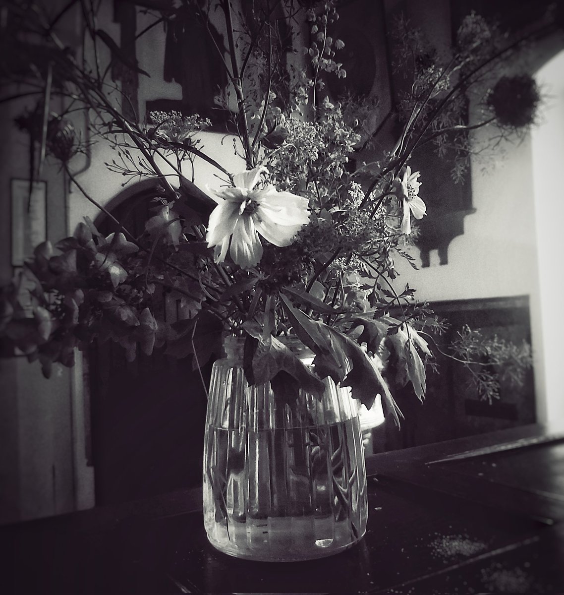 ©️ Roy Clark 2023
#cutflowers #floral #stilllife
