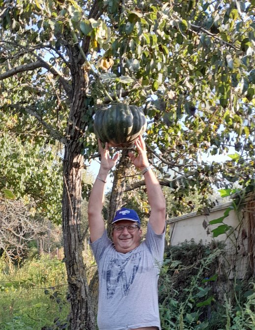 gdiscala's tweet photo. Tempo delle zucche #km0 #ioproduco #zucca https://t.co/XNi7d2M2PC