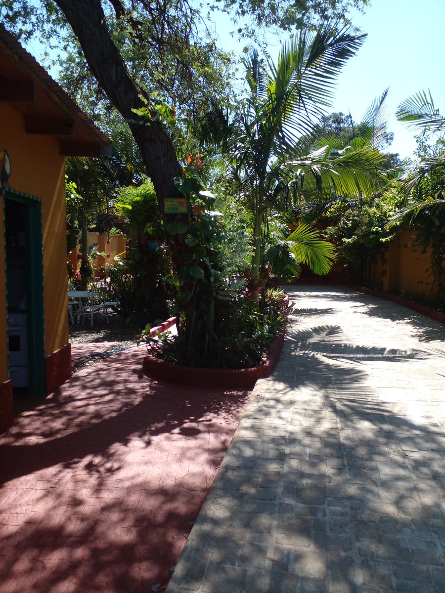 BUEN SÁBADO  AMIGOS.. TENEMOS EN ALQUILER QUINCHO Y PILETA UBICADO EN POSADAS. ZONA AEROPUERTO. EVENTOS. CUMPLEAÑOS PARA NIÑOS Y ADULTOS. REUNIONES SOCIALES. DESPEDIDAS DE AÑO. PILETA DE 9 METROS POR 3 DE ANCHO.  CONSULTE DIAS Y HORARIOS DISPONIBLES. TRATAR: WHATSAPP: 3764675727