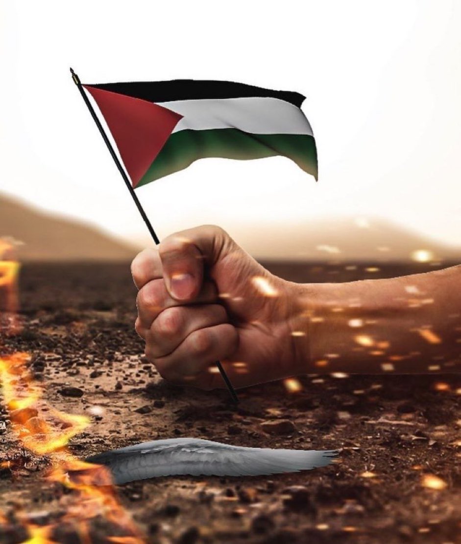 🍉ℤ𝕚𝕟𝕒🇵🇸ⵣ🇩🇿 tweet media