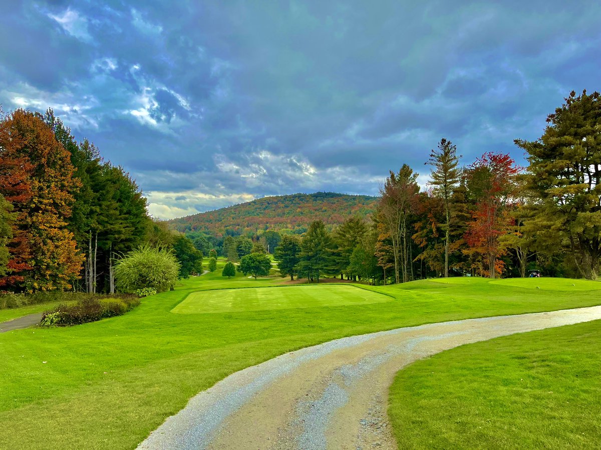 Mike Willis tweet media