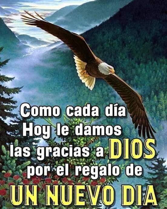 AraceliTerrazGo's tweet photo. Disfruten esté Fin De Semana... SUERTE 🍀 https://t.co/YdyKJUpXiC