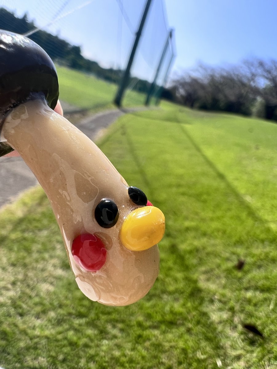 mokomomo's tweet photo. 最近週末ブームのきのこ狩り🍄 https://t.co/ijb2T2EK3i