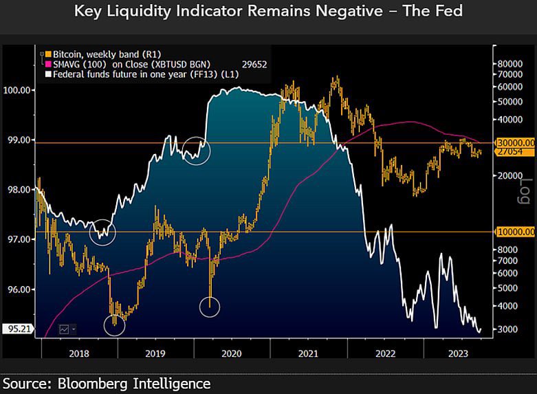 TradingTTM tweet media
