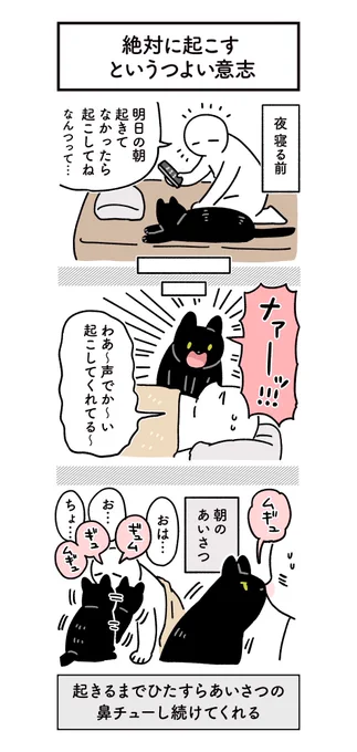 大事な用事がある朝はねこに起こしてもらっている 頼むとほんとに起こしてくれてアフターケアまでしてくれるからすごい #ろんの絵日記