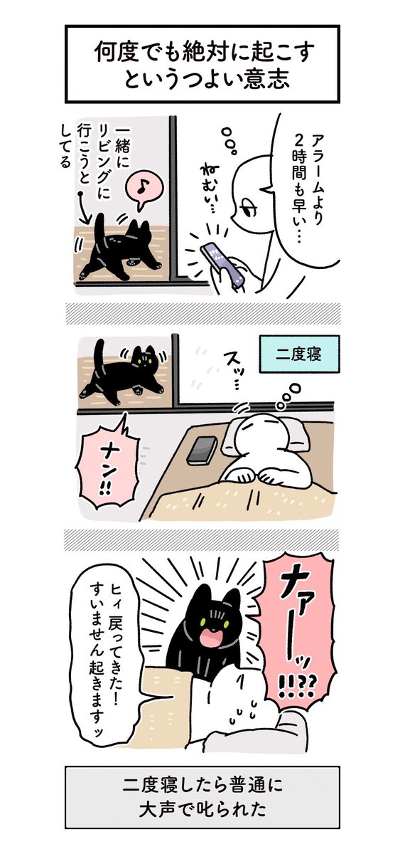 大事な用事がある朝はねこに起こしてもらっている 頼むとほんとに起こしてくれてアフターケアまでしてくれるからすごい #ろんの絵日記