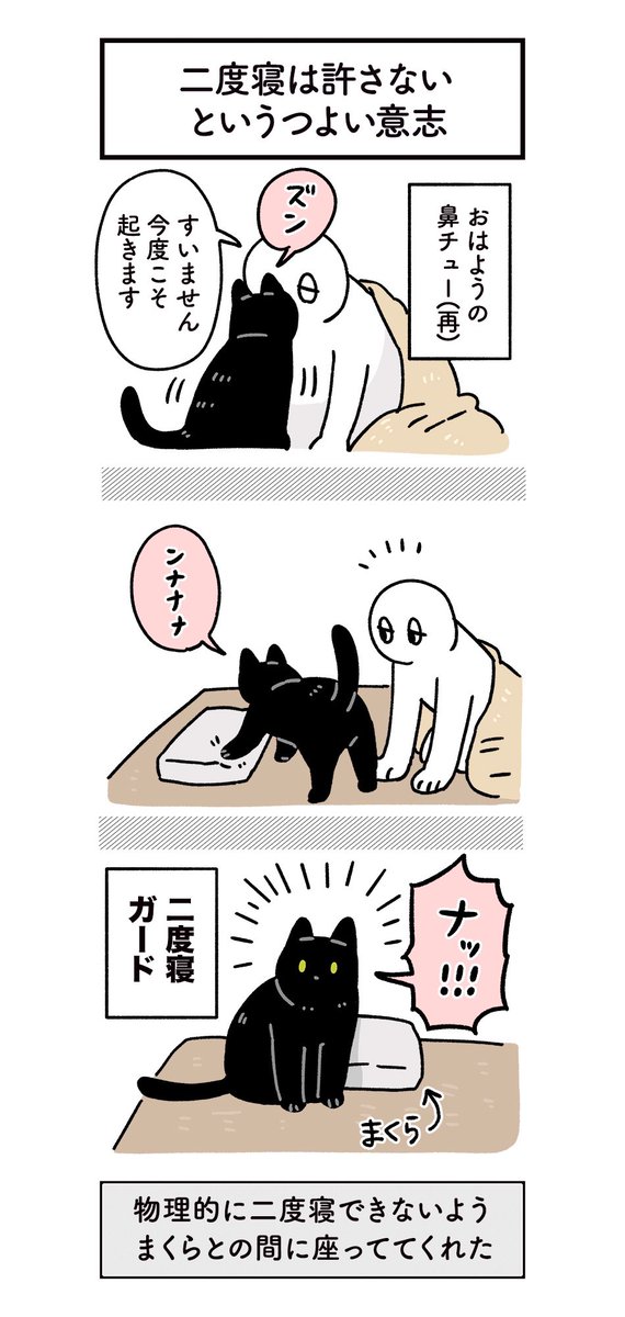 大事な用事がある朝はねこに起こしてもらっている 頼むとほんとに起こしてくれてアフターケアまでしてくれるからすごい #ろんの絵日記